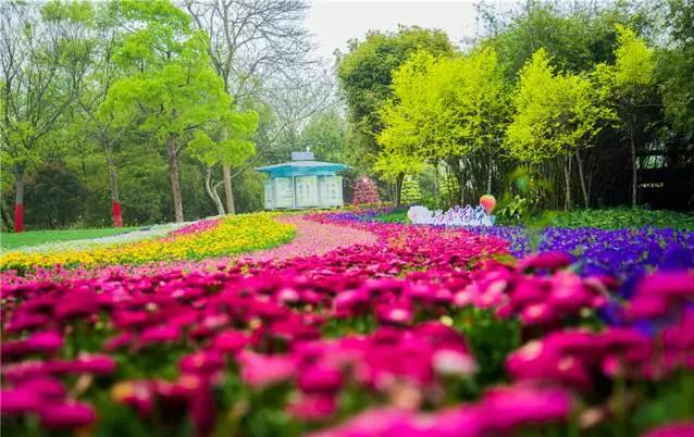 湖北園林景觀中的重頭戲——植物景觀設(shè)計(jì)